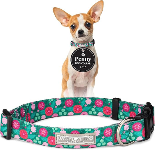 Lucky Love Dog - Adjustable Dog Collar with Easy Click Buckle for Small Dogs, Durable, & Comfortable for Male & Female Dogs, Pet Collar for Puppies & Adult Ones - Penny, XS