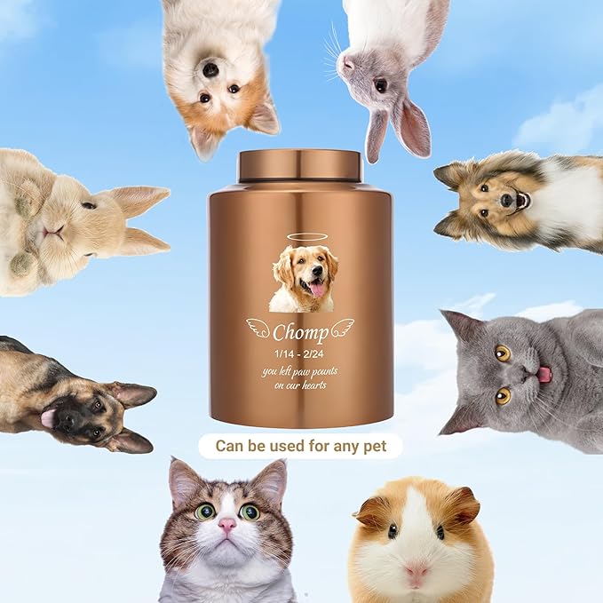 Custom Urns for Dogs Cats Ashes Personalized Pet Urn with Name and Photo Pet Cremation Memorial Urn for Loss of Dog or Cats Engraved Pet Funeral Urns (Angel)