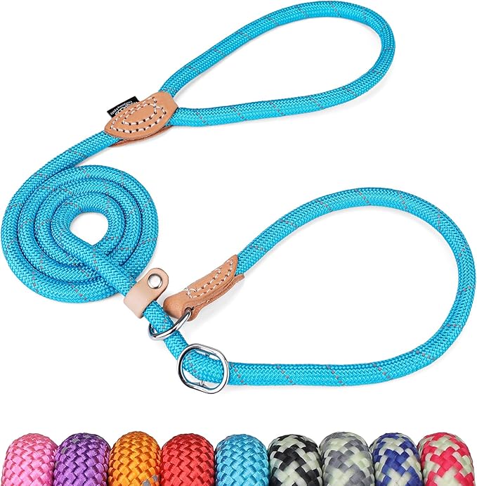 Grand Line Slip Lead Dog Leash - No Pull Training Dog Lead with 5ft Reflective Rope, Durable & Collar-Free for Small, Medium, Large Dogs and Puppies (Blue,M)