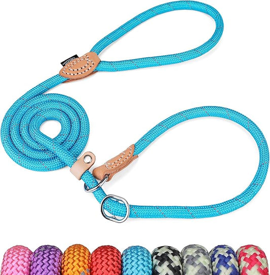 Grand Line Slip Lead Dog Leash - No Pull Training Dog Lead with 5ft Reflective Rope, Durable & Collar-Free for Small, Medium, Large Dogs and Puppies (Blue,L)