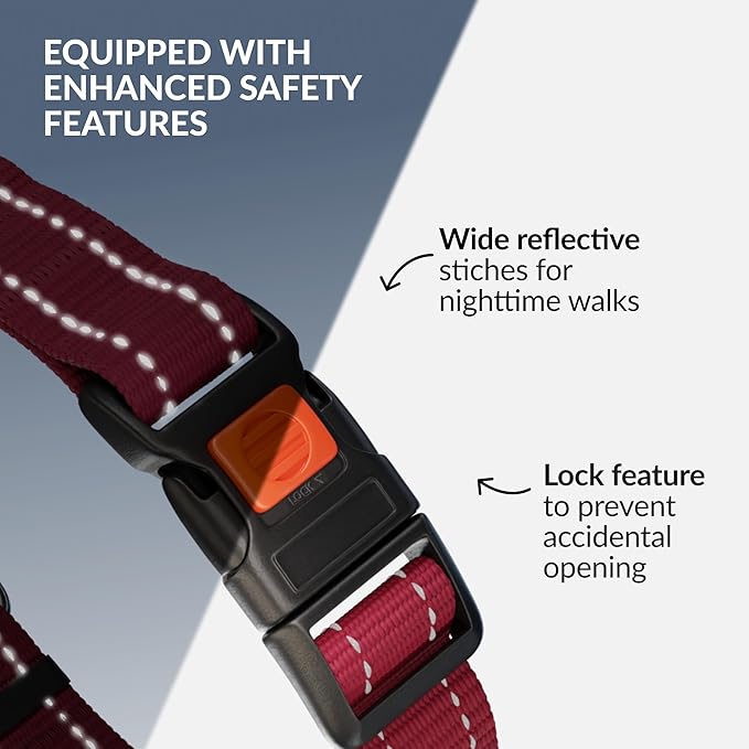 CollarDirect Martingale Dog Collar with Stainless Steel Chain and Quick Release Buckle - Reflective Collar for Large, Medium, Small Dogs - Dark Red, Medium (Neck Size 14"-17")