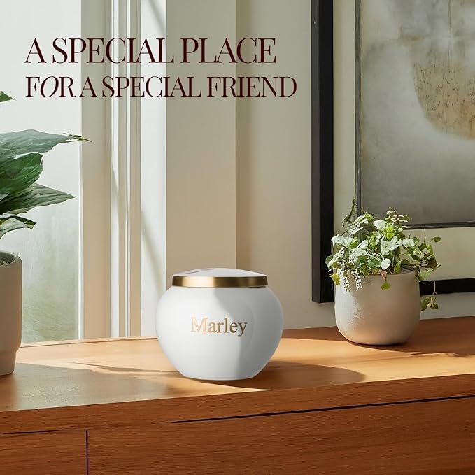 Mia Paws Premier Series Pet Urn for Dogs with Personalized Laser Engraving (Medium - Pets up to 35 lbs, Cloud White, Double Brass Paws)