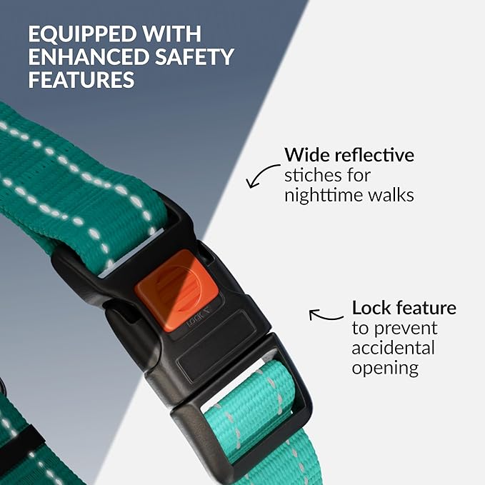 CollarDirect Martingale Dog Collar with Stainless Steel Chain and Quick Release Buckle - Reflective Collar for Large, Medium, Small Dogs - Mint Green, Large (Neck Size 17"-22")