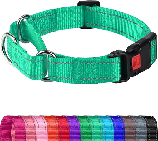 Joytale Martingale Collar for Dogs, Reflective Heavy Duty for Safety, Quick Release Buckle, Adjustable Nylon Collars for Medium Dogs Walking Training, Teal,M