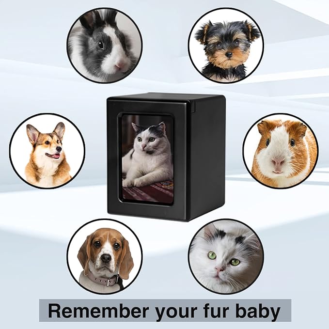 PCS Cat Urn for Ashes - Large Black Pet Cremation Box with Photo Urn Option