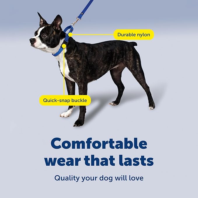 PetSafe Adjustable Martingale Collar - Improves Leash Manners - Escape Prevention - Gentle Behavior Training - Durable Nylon - Alternative to Choke Collar - Petite 3/8" - Raspberry Pink