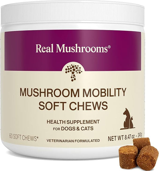 Real Mushrooms Mobility Chews for Dogs & Cats – Green Lipped Mussel & ErgoGold Mushroom Blend – Dogs & Cat Vitamins Treats for Active Routines – Joint, Hip & Flexibility Support – 240 ct Supplement