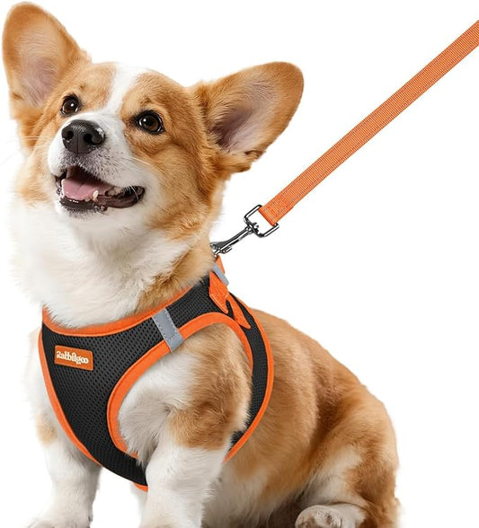 rabbitgoo Dog Harness Small Sized and Leash Set, Step-in Breathable Pet Harness, Soft Walking Reflective Puppy Vest for Small Dogs, Black & Orange, L