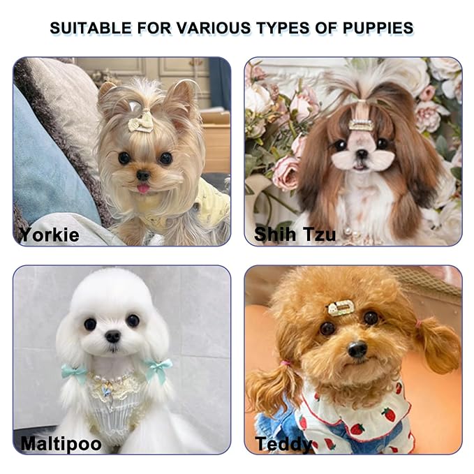 Foldable Dual-Head Puppy Brush, Small Dogs Interchangeable Combs Soft Bristles Portable Grooming Tool, Fit for Yorkie Shih Tzu Maltipoo Maltese (Purple)