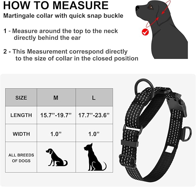 Martingale Dog Collars, Adjustable Reflective Nylon Dog Collar for Training Dogs, No Pull Dog Choker Collar for Medium Large Dogs (M, Black)