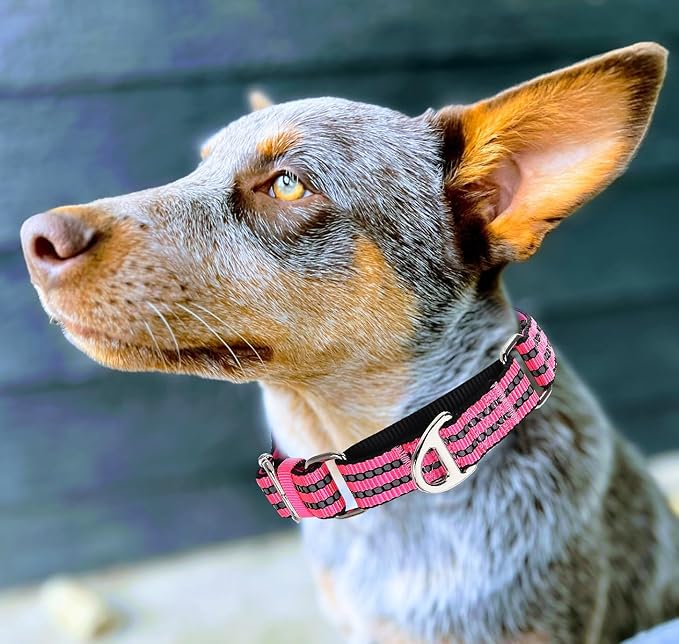 Reflective Martingale Collar for Medium Dogs with No Buckle,No Pull Choke Collar with Padded Comfort for Training, Walking & Overexcited Pulling Control Dogs,Pink M