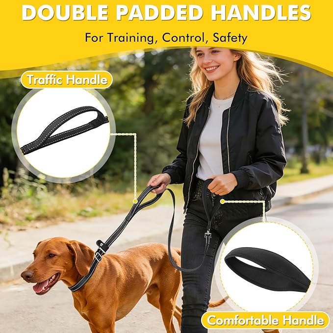 XiaZ 6FT Slip Leash for Dogs,Dog Leash with Comfortable Flat Collar and Soft Padded Double Handle,Nylon Reflective No Pull Leashes for Small Medium Large Dogs, Training Walking Running (Black)