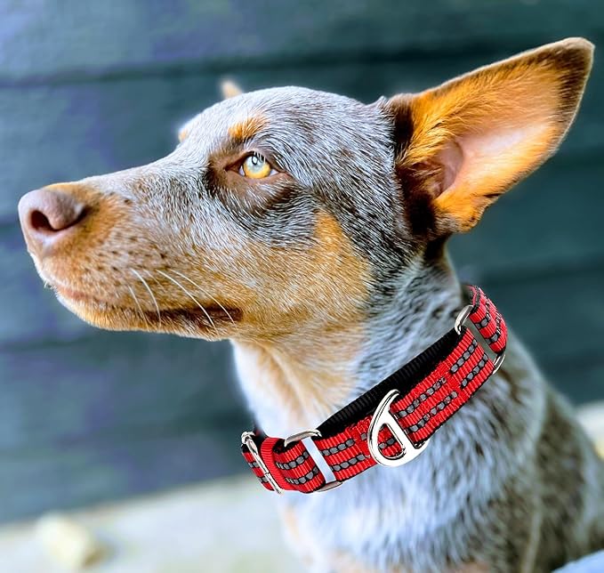 Martingale Collar for Large Dogs, Reflective Nylon No Pull Choke Collar with Padded Heavy-Safe Dog Collar for Training,Nighttime Walking & Overexcited Pulling Control Dogs,Red L