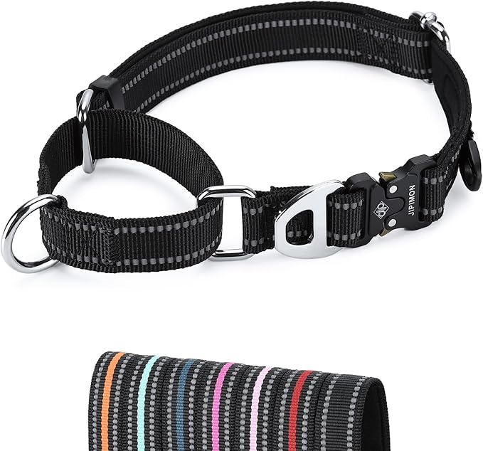 Martingale Dog Collar Reflective Nylon Soft Cushion with Alloy Buckle Dog Collar Martingale Small Medium and Large Dogs (Small, Black)