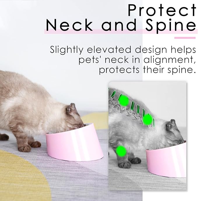 SuperDesign Mess Free 15° Slanted Bowl for Dogs and Cats, Tilted Angle Bulldog Bowl Dog Feeder, Non-Skid & Non-Spill, Easier to Reach Food S/0.5 Cup Pink