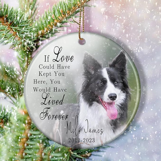 Dog Memorial Photo Ornament, Sympathy Gift for Dog Remembrance, Pet Christmas Ornament