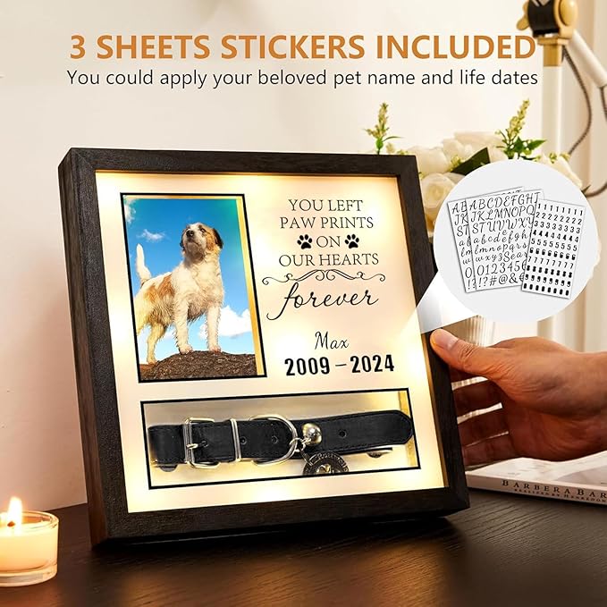 10"x10"Pet Collar Memorial Shadow Box Dog Picture Frame, Cat or Dog Memorial Gift Pet Sympathy Remembrance Gift Keepsake for Multi Sizes Dogs