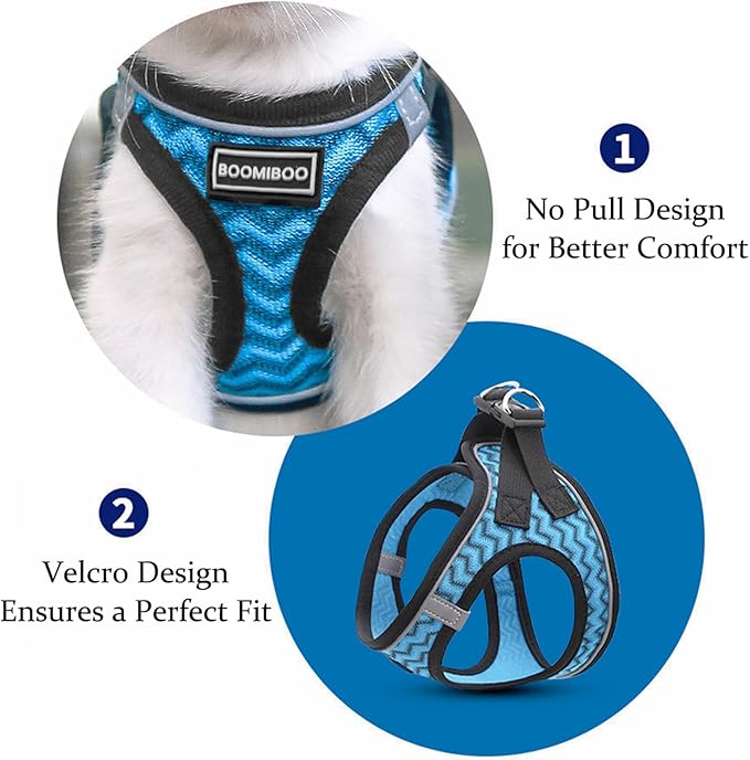 Dog Harness with Leash Set, No Pull Adjustable Reflective Step-in Puppy Pet Vest Harnesses for Small Medium Large Dogs and Cats,Sky Blue M