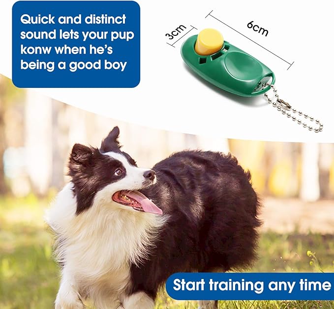 BAAPET 15/20/30/50/100 ft Long Dog Training Leash with Clickers for Small, Medium and Large Dogs or Cats (30 Feet, DarkGreen)