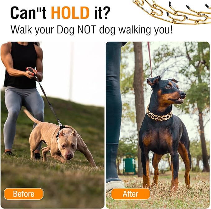 Dog Pinch Collar Stainless Steel,Gold Prong Dog Training Collar,No Pull Martingale Collar Stainless Steel Metal Chain Collar,Adjustable Size Collar for Medium and Large Dogs(S, Gold)