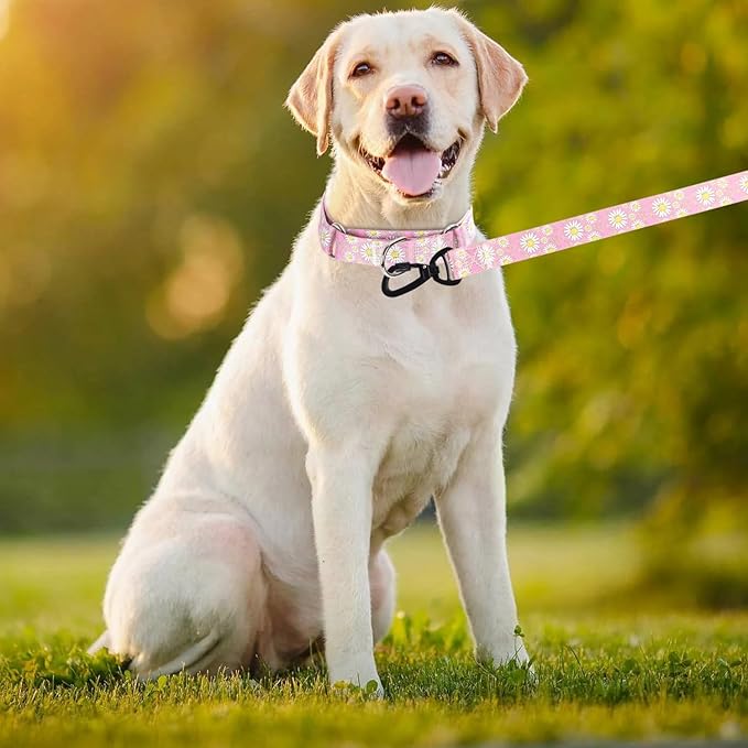 Martingale Collar for Medium Dogs, Girl Dog Collar with Daisy Flowers, Heavy Duty No Pull Dog Collar Floral Design Dog Training Collar, Perfect for Training, Walking, Hunting (Pink + Leash, L)
