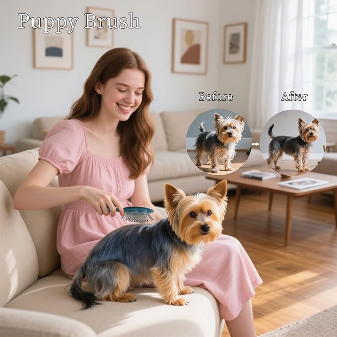 Gentle Cloud Air Cushion Brush Small Dogs Grooming with Gift Box, Fit for Yorkie, Shih Tzu, Pomeranian, Maltipoo, Maltese, Toy poodle, Puppy Essentials (Sky Blue)