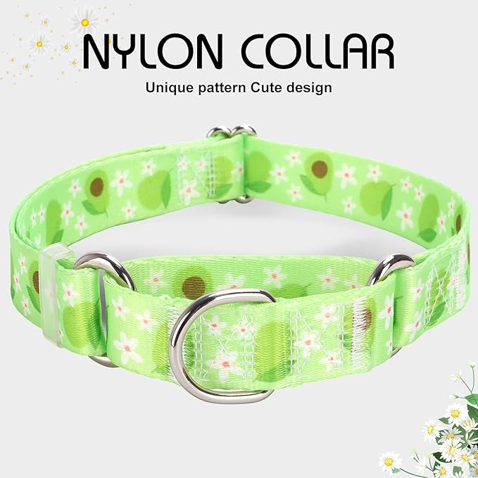 Martingale Dog Collar for Small Dogs，No-Slip Escape Proof Choke No Pull Avocado Dog Collar for Male and Female Dogs, Fruit Dog Collar for Walking Running Training