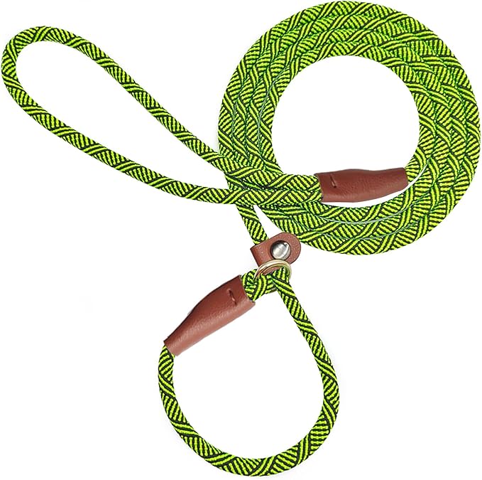 Slip Lead Dog Leash for Small Dogs, 1/4" x 5ft No Pull Slip-on Lightweight Training Leash (Green)
