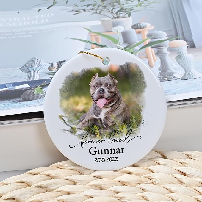 Touber Personalized Dog Memorial Ornament - Ceramic Christmas Ornament for Dog Loss Gifts