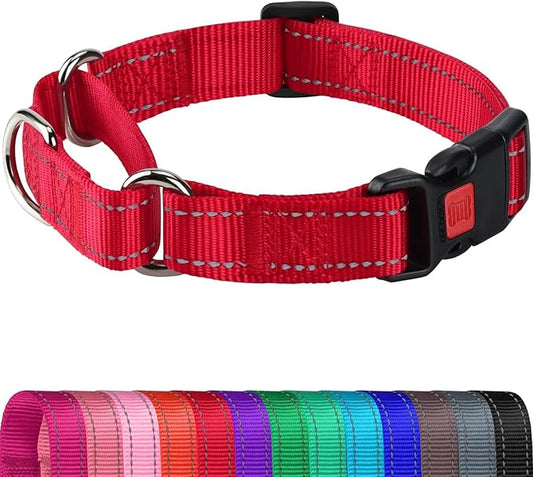 Joytale Martingale Collar for Dogs, Reflective Heavy Duty for Safety, Quick Release Buckle, Adjustable Nylon Collars for Puppy and XSmall Dogs Walking Training, Red,XS