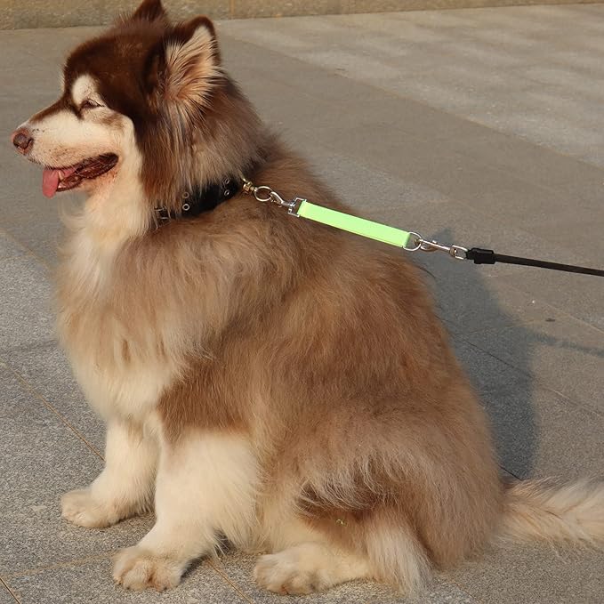 Traffic Dog Leash Dogs Training Leash Pet Traffic Grab Handle Training Tab Pets Leash Short Dog Leashes Dogs Training Lead Leashes (Green & Blue)