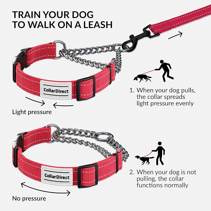 CollarDirect Martingale Dog Collar with Stainless Steel Chain and Quick Release Buckle - Reflective Collar for Large, Medium, Small Dogs - Pink, Medium (Neck Size 14"-17")