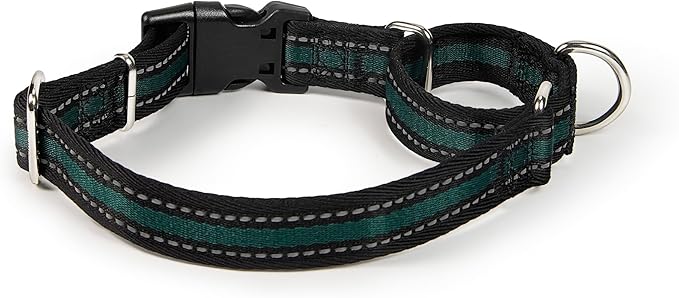 Hyhug Reflective Martingale Dog Collar with Buckle: Escape-Proof, No Slip Heavy Duty Nylon, Colorfast Adjustable Pet Supplies for Medium Breeds (Reflective Green, Medium)