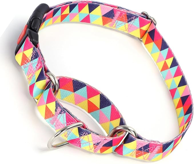 Martingale Collar for Dogs with Buckle, No Slip Escape Proof Limited Choke Pinch Pet Collars Quick Release Snap with Lock for Small Medium Large Breed, Colorful Geometric Triangles L