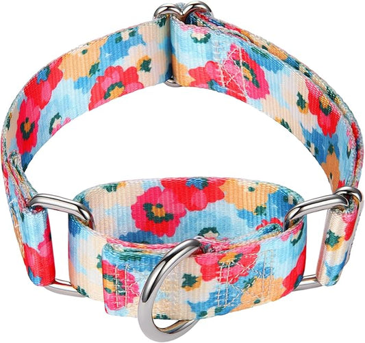 Mikivery Martingale Collar for Dogs 1 inch Sturdy Durable Collars Medium and Large Breed for Walking Training Outdoor Daily Use