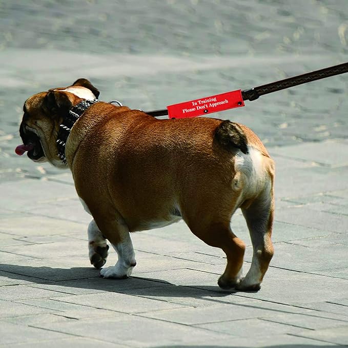 Funny Dog Leash Sleeve in Training Please Don't Approach Dog Leash Wrap Wrap Alert Hanging ID Patch Tag(Don't Approach-Sleeve)