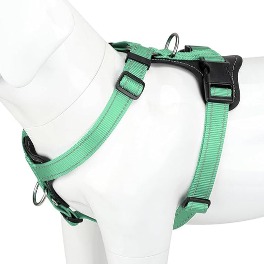 Plutus Pet Adjustable No Pull Dog Harness with Leather Accents, Heavy Duty Reflective Nylon Vest for Training, Hiking, Easy Walk Harness for Small, Medium, Large Dogs (Teal, S)
