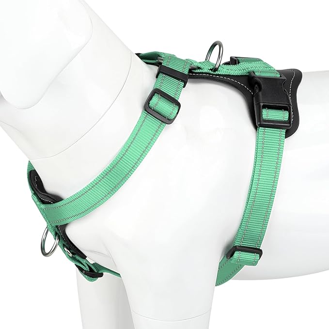 Plutus Pet Adjustable No Pull Dog Harness with Leather Accents, Heavy Duty Reflective Nylon Vest for Training, Hiking, Easy Walk Harness for Small, Medium, Large Dogs (Teal, L)