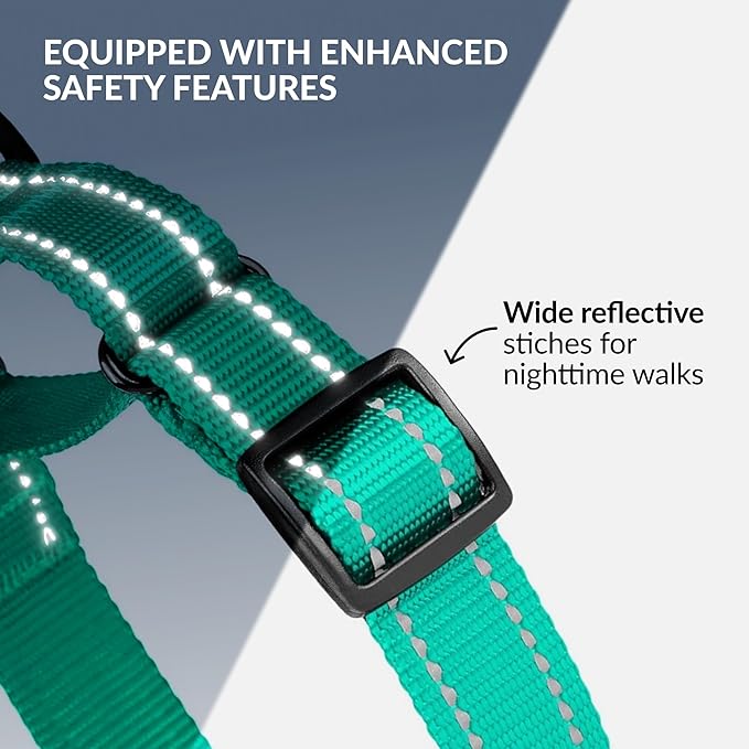 Collardirect Reflective Martingale Dog Collar Nylon Training Collars for Small Medium Large Dogs Puppy Pink Orange Green (M, Neck Size 13"-18", Mint Green)