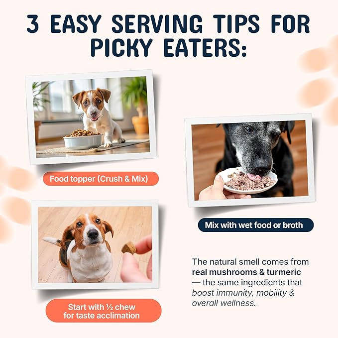 Pets are Kids Turkey Tail Mushroom for Dogs with Organic Real Turkey Tail™ - 8:1 Extract Mushroom Chews for Lumps & Bumps, Immunity, Gut, Skin, Joint & Spine Support - Reishi, Lion’s Mane - 60 Chews
