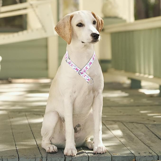 Training Dog Collar, No Pull Martingale Collar, Slip Collar with Slidable Stop Ring for Small, Medium, Large Dogs (NO11, L)