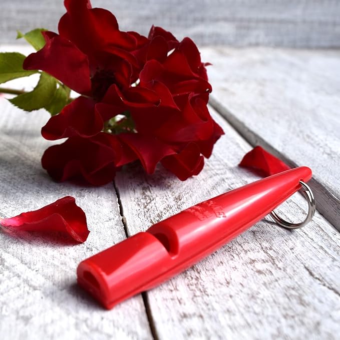 Acme Dog Whistle no. 210.5 | Original from England | Ideal for Dog Training | Food-Grade ABS Material | Standardized Frequency | Loud and far-Reaching
