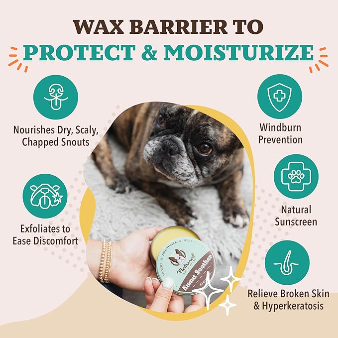 Natural Dog Company Snout Soother Balm – Dog Nose Balm for Dry Cracked Snouts, Moisturizing Winter Nose Care with Coconut Oil & Shea Butter, Lick Safe Dog Snout Balm for All Breeds, 1 oz Tin