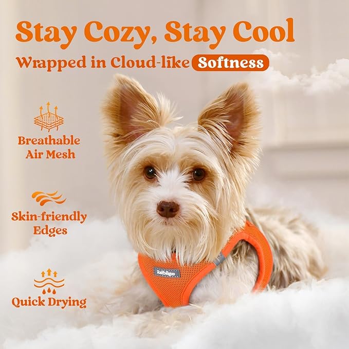 rabbitgoo Small Dog Harness, Step-in Soft Mesh Puppy Vest with Safety Buckle, Breathable Reflective Pet Harness for Large Dogs, Orange XXL