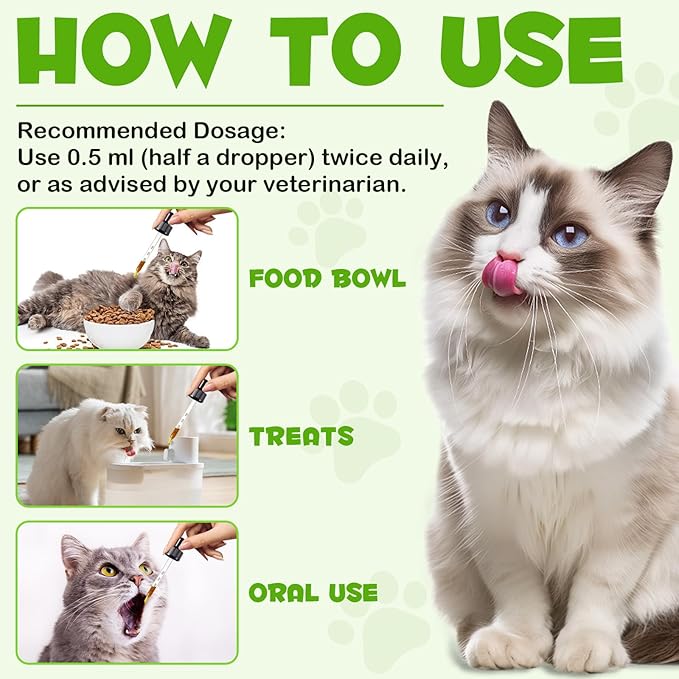 Probiotics for Cats Liquid, Cat Probiotic, 3 in 1 Cat Probiotics Supplement with Prebiotic & Digestive Enzymes | Support Gut Health, Diarrhea and Constipation Relief, Suitable for All Cats, 60 ml