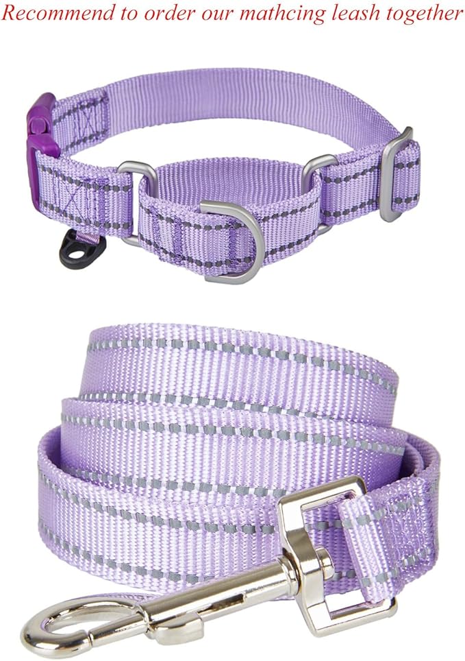 Reflective Martingale Collar for Dogs with Quick Snap Buckle Anti-Pull Nylon Safe Slip Collars for Easy Walking,Lilac,Large