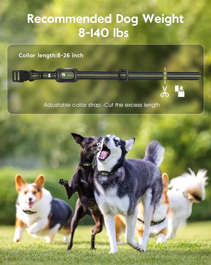 SLOPEHILL Dog Shock Collar,4200FT Dog Training Collar with Remote,IPX8 Waterproof E-Collar with Beep,Vibration,Shock,Flash Light,No Shock Mode,Electric Shock Collar for Small Medium Large Dogs,Green