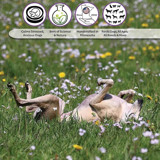 The Blissful Dog All Natural Greyhound Relax Dog Aromatherapy Spray