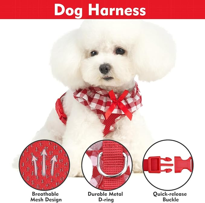 EXPAWLORER Cute Dog Harness and Leash Set - Red Girl Dog Harness Checkered Step-in Design, Easy Adjustable No-Choke Lightweight Breathable Vest for Puppy Small Dogs Cats Outdoor Walking, Small