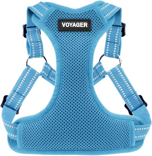 Best Pet Supplies Voyager Adjustable Step-In Flex Breathable Mesh Dog Harness for Small Medium Large Dogs (Baby Blue), XL